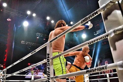 搏击一龙最新爆料,揭秘搏击王者背后的故事与挑战